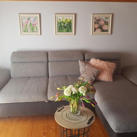 Mediterran Apartman 佩奇 外观 照片